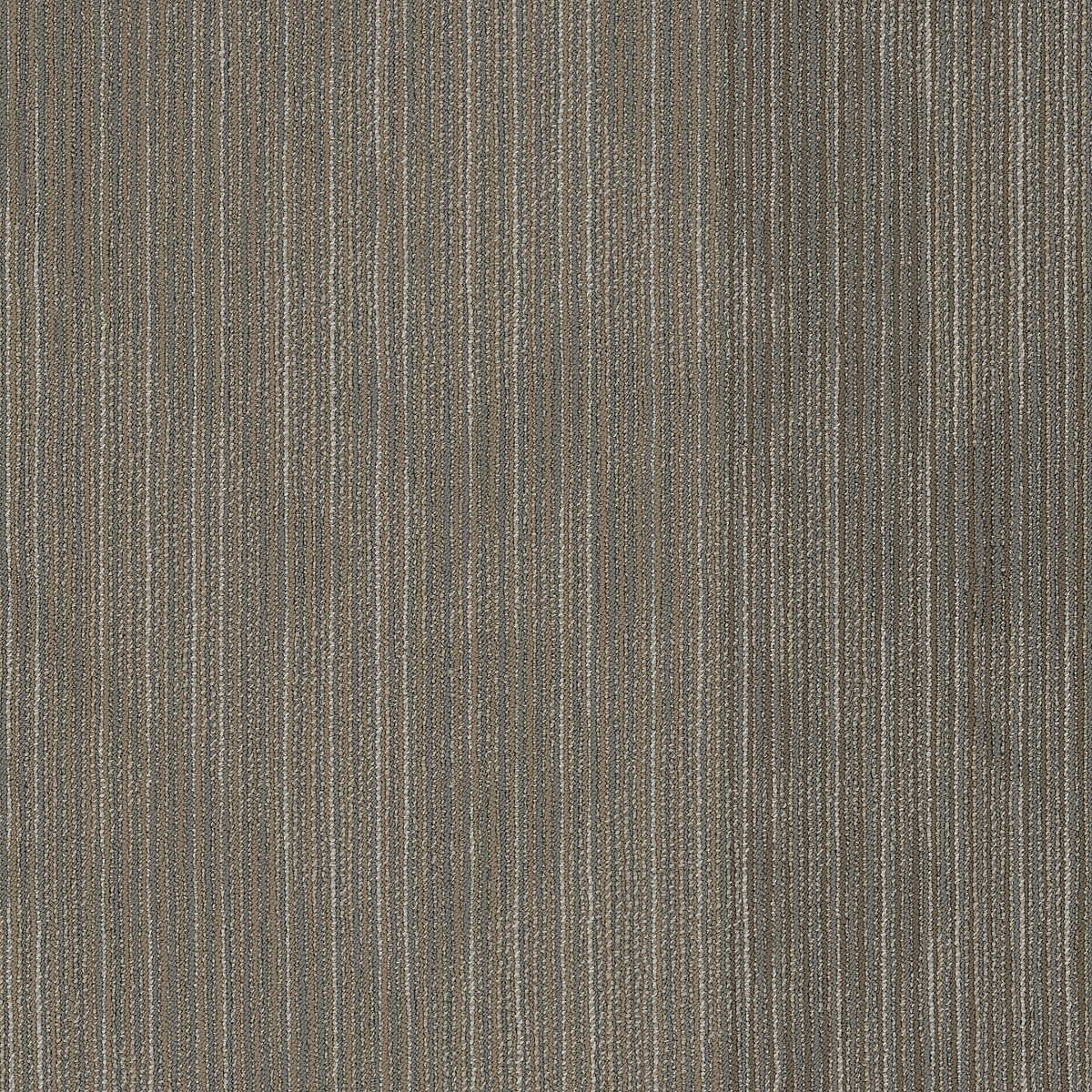 Philadelphia Commercial Declare Newsfeed flooring