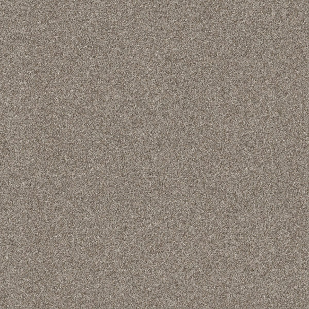 Shaw Floors Attainable (Tonal) Winter Dunes flooring