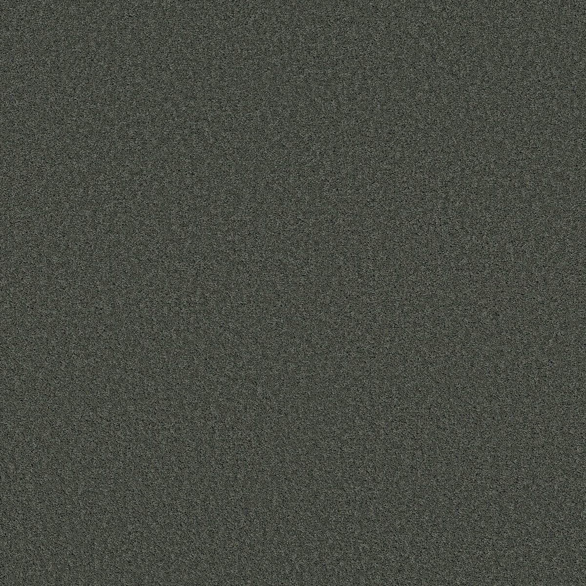 Shaw Floors Las Cruces Fig Leaf flooring