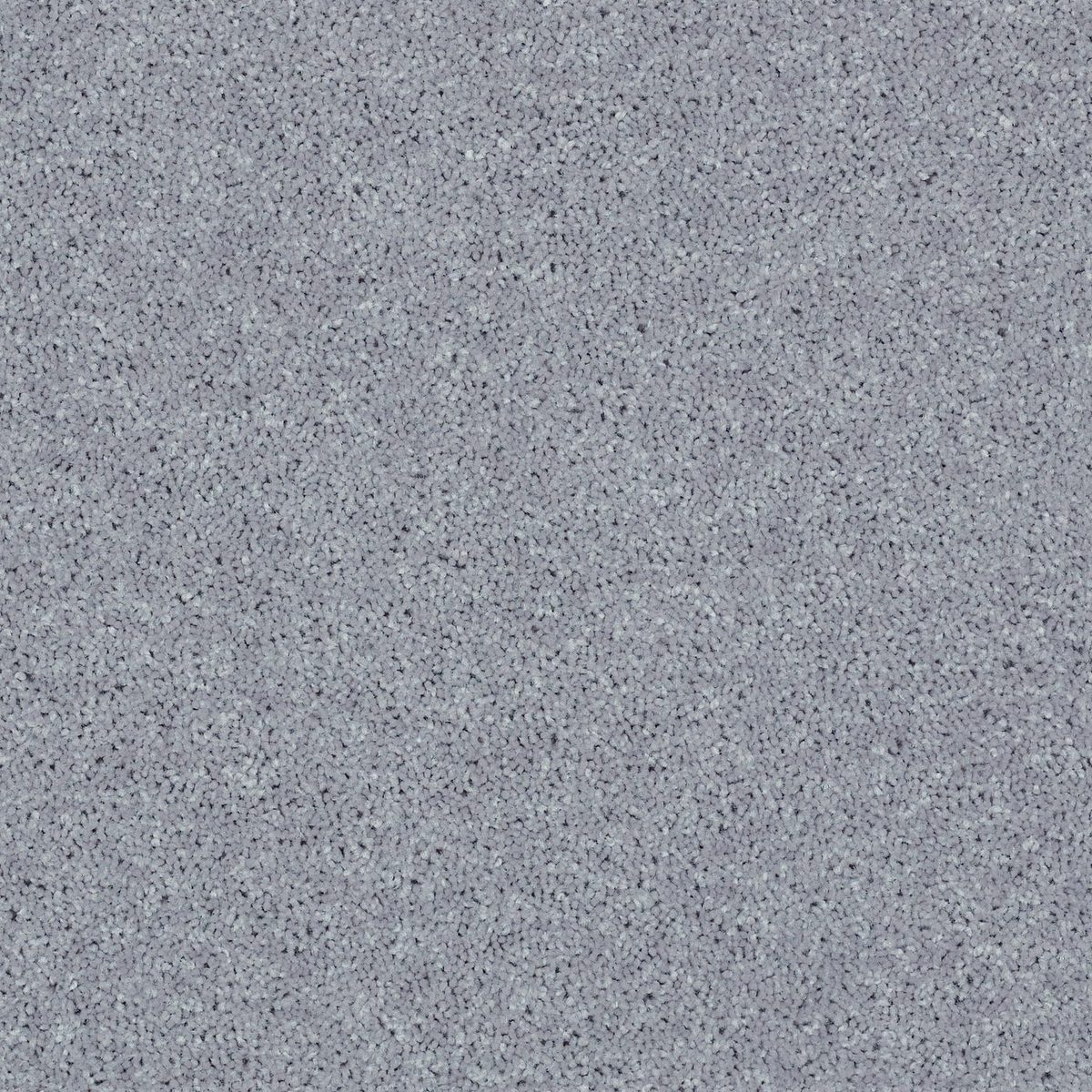 Shaw Floors All Star Weekend II Dolphin flooring