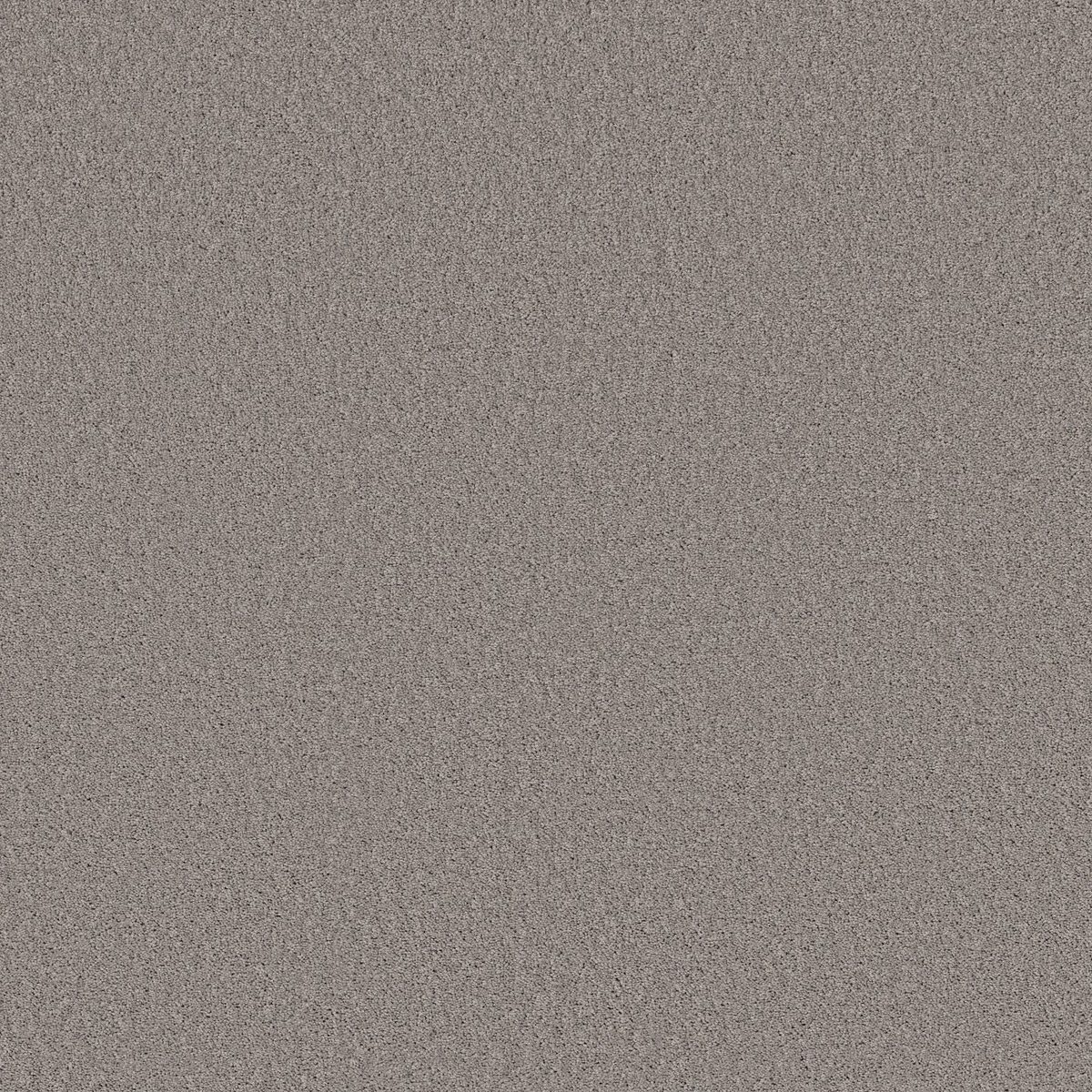Shaw Floors Las Cruces Willow Creek flooring