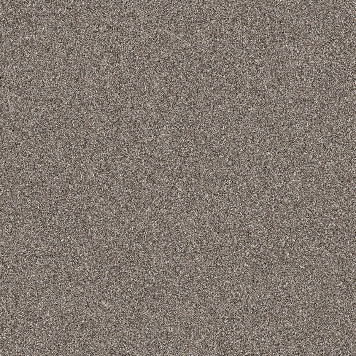 Shaw Floors Yes You Can II 12' Chic Greige flooring