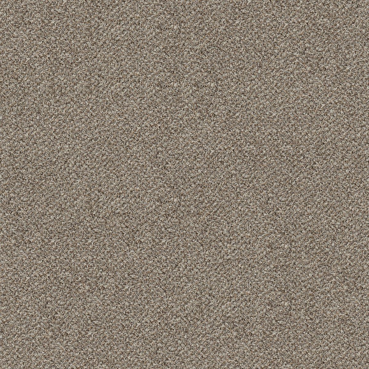Shaw Floors Break Free Snowdrift flooring