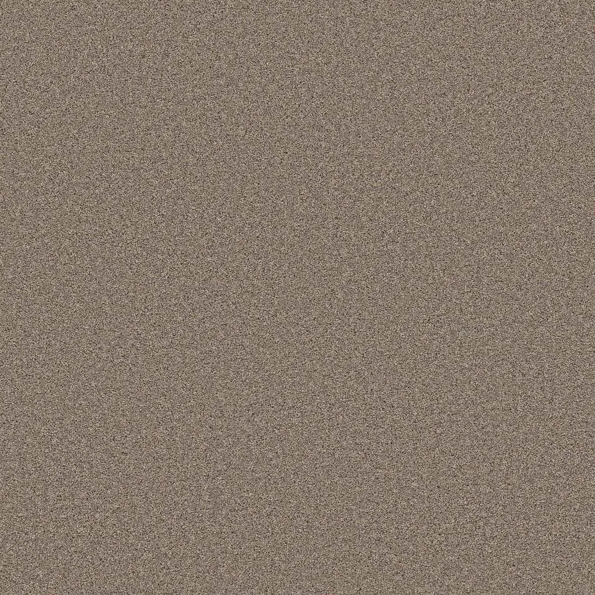Shaw Floors Wonderland III 12' Slate flooring