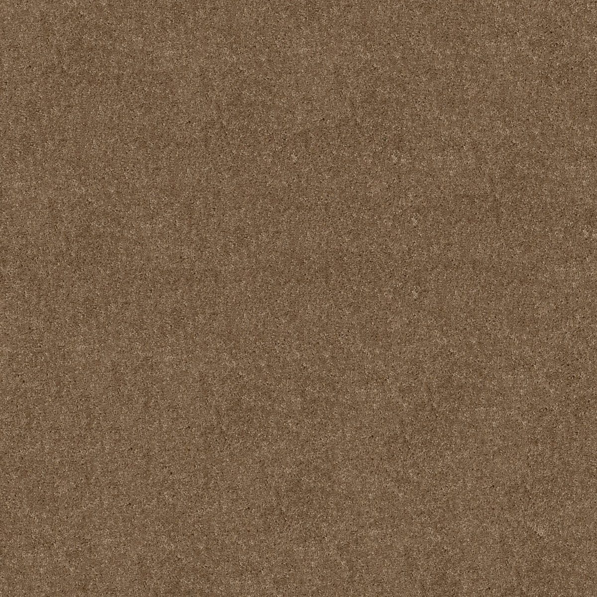 Shaw Floors Hot Topic Meadowlark flooring