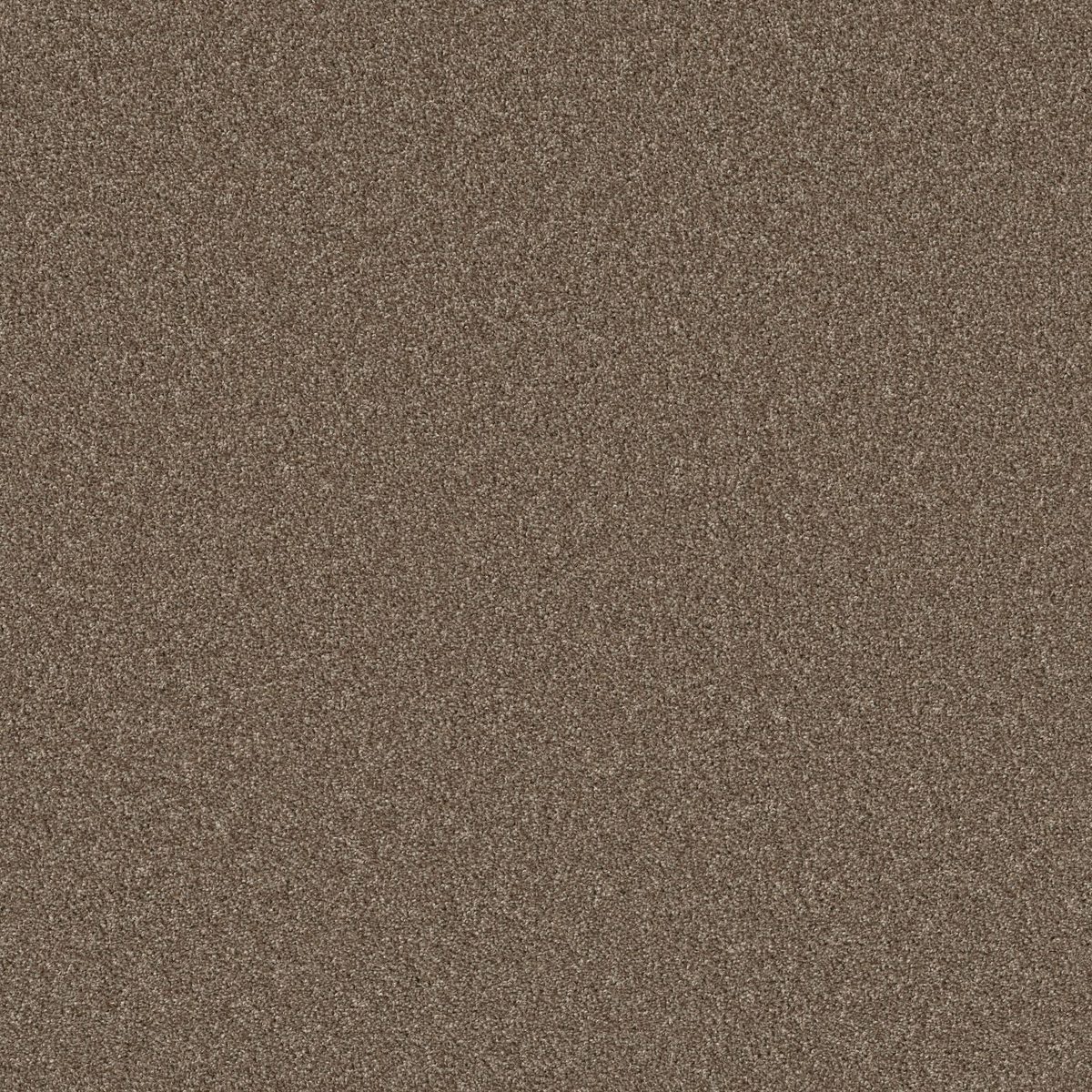 Shaw Floors Agility Roasted Coffee flooring