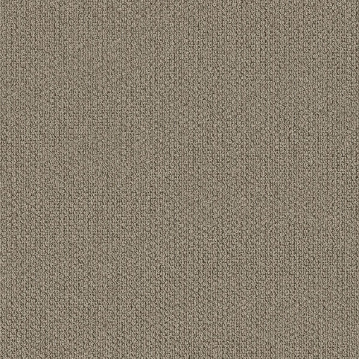 Shaw Floors Cathedral Hill II Taupe Tone flooring
