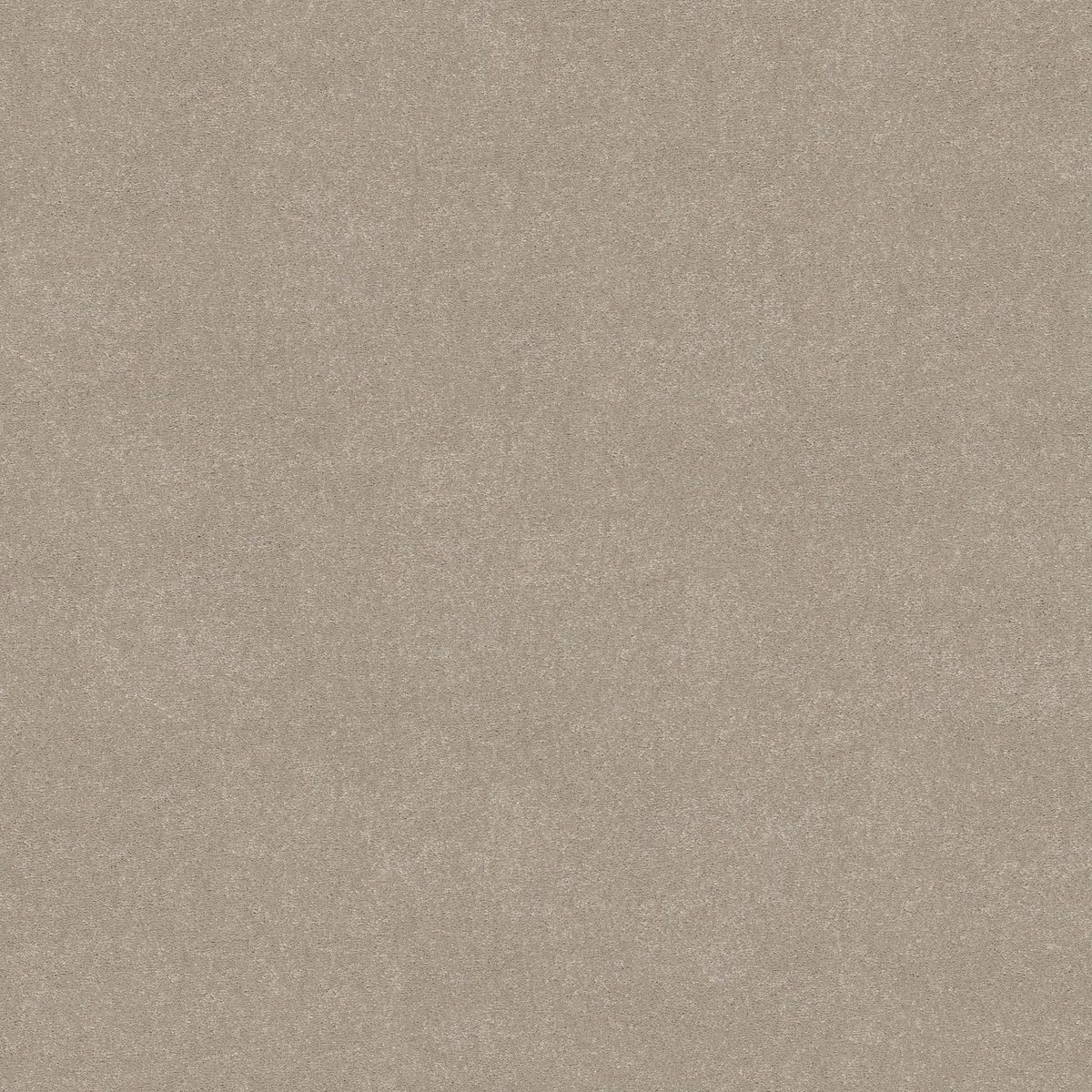 Shaw Floors Easy Spirit II Greige flooring