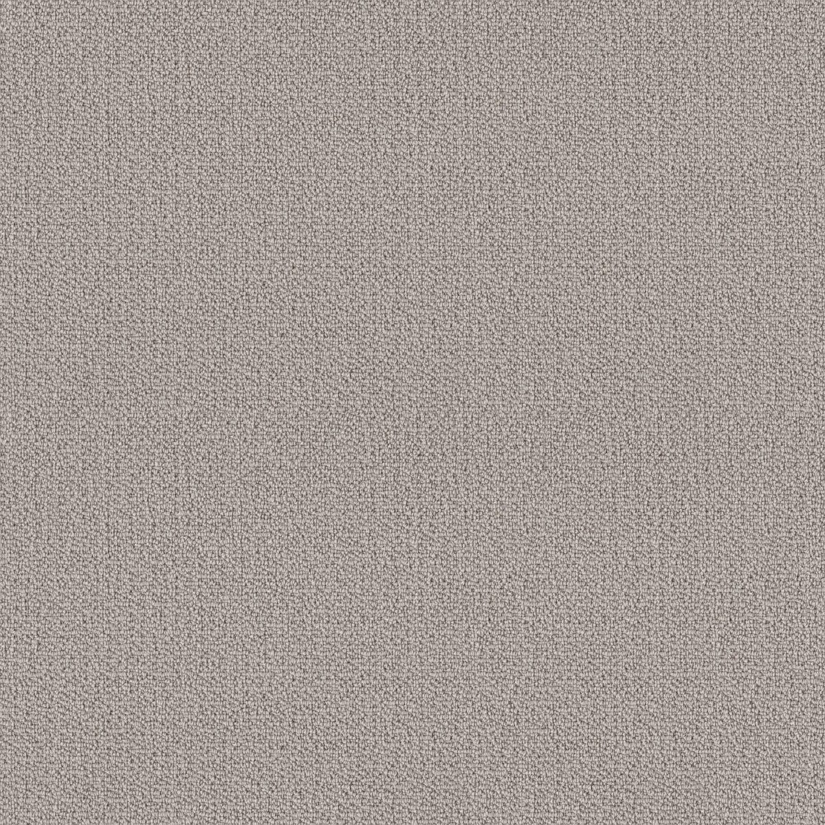 Shaw Floors Loop de Loop Warm Greige flooring