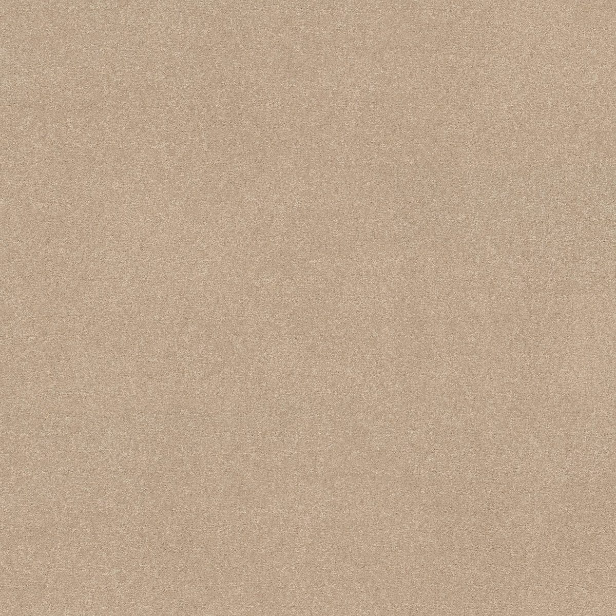 Shaw Floors Easy Spirit II Captiva flooring
