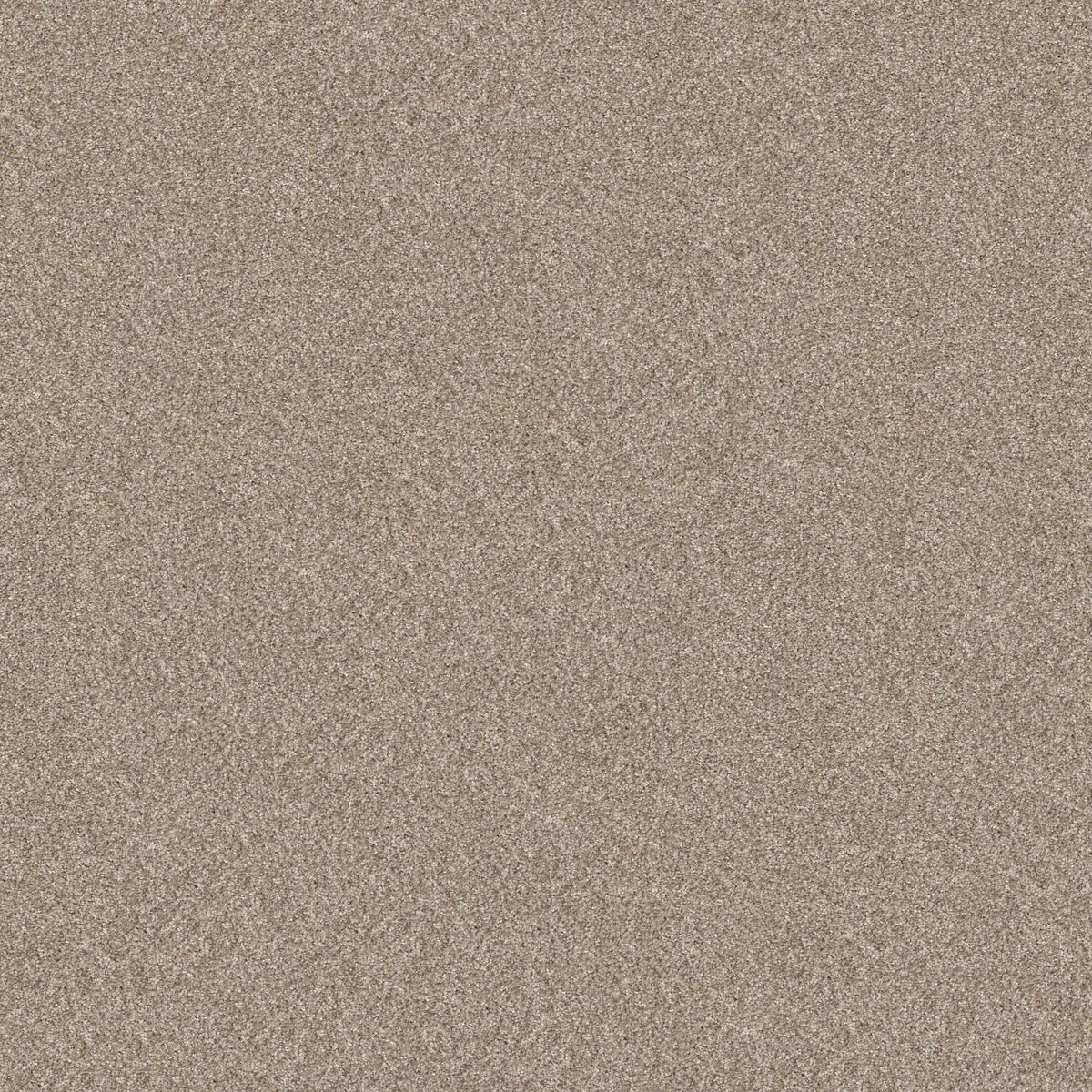 Shaw Floors Elevated I Soft Sand flooring