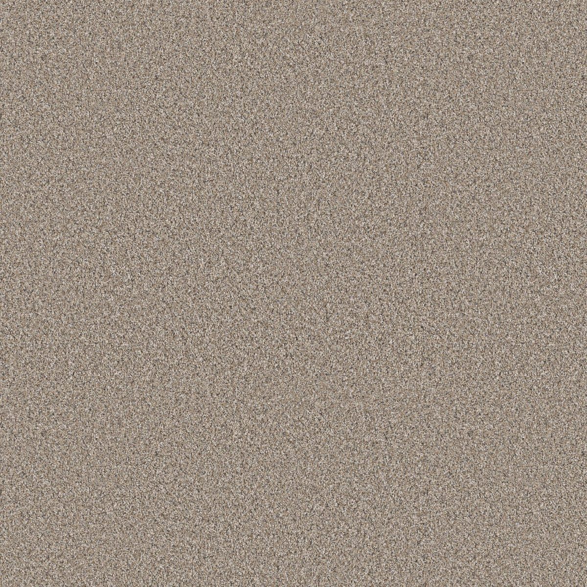 Shaw Floors Elevated I Nutria flooring