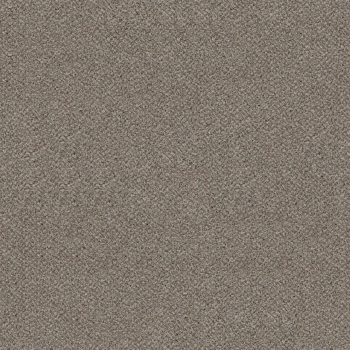 Shaw Floors Break Free Lunar flooring