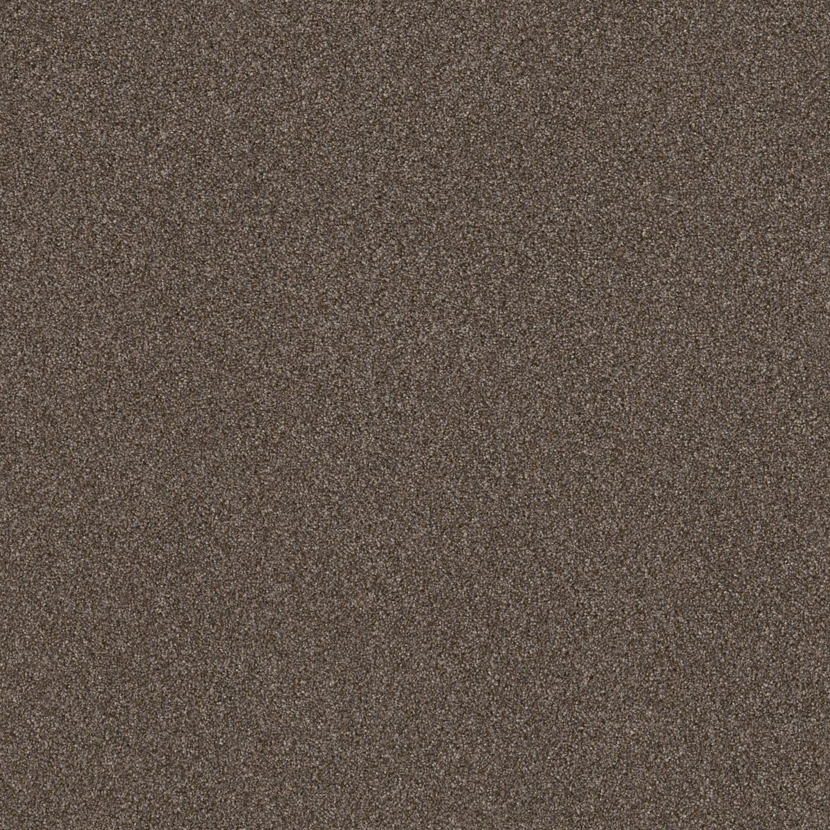 Shaw Floors Right Choice Raw Wood flooring
