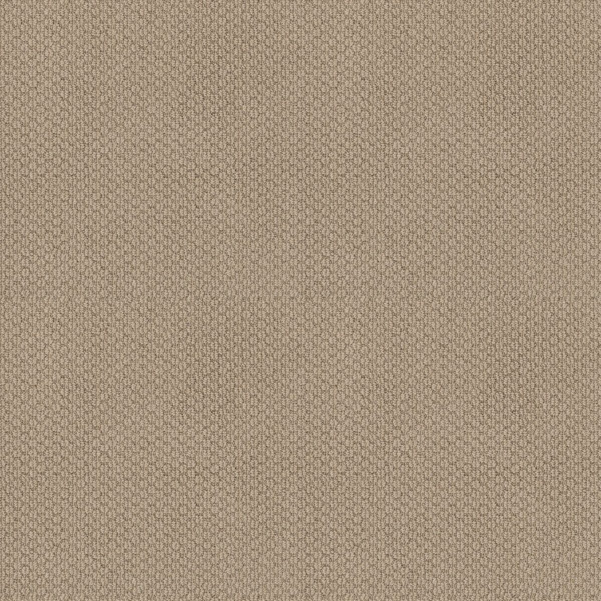 Shaw Floors Cathedral Hill II Feather flooring