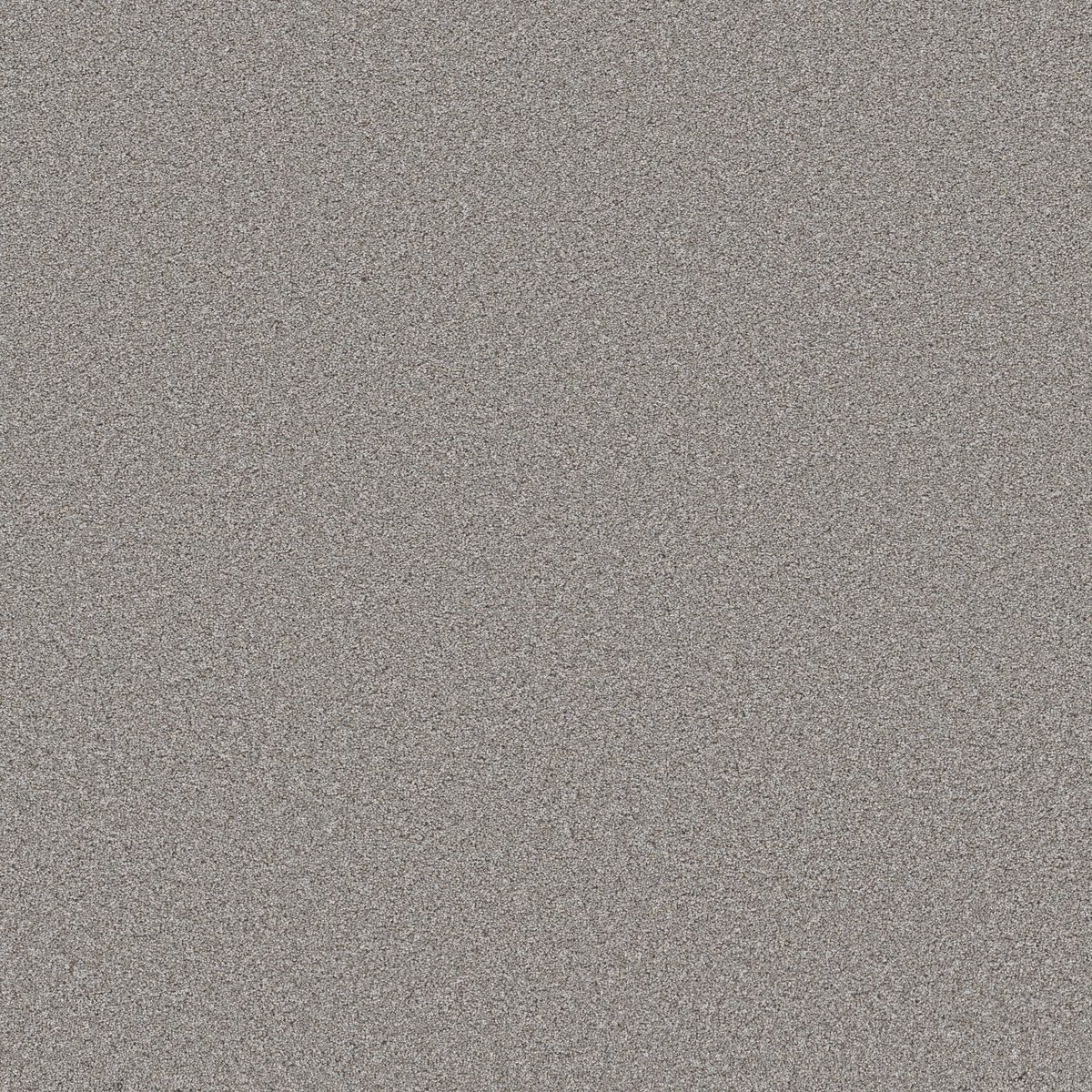 Shaw Floors Wonderland III 12' Greige flooring
