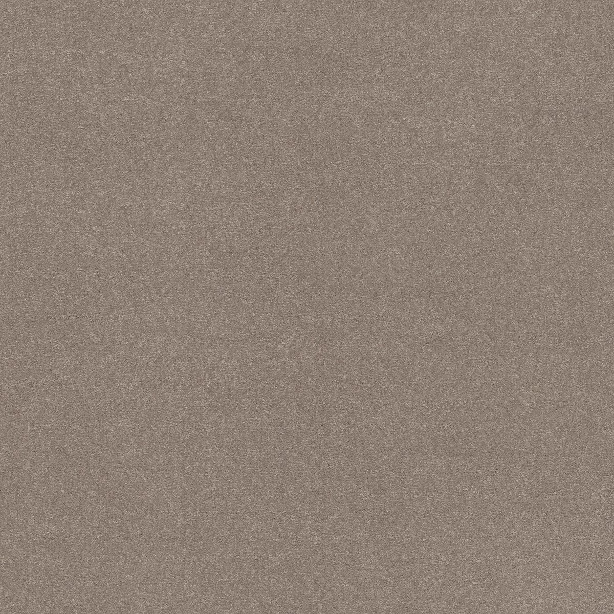 Shaw Floors Easy Spirit I Treebark flooring
