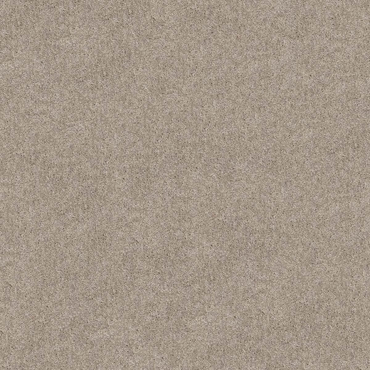 Shaw Floors Hot Topic Bare Mineral flooring