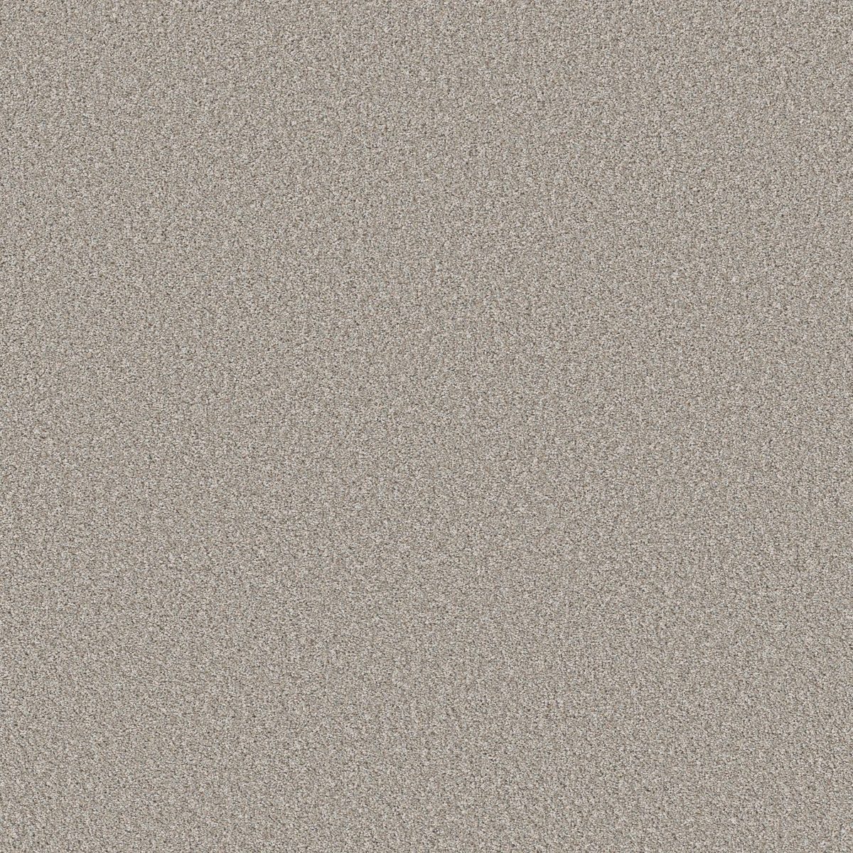 Shaw Floors Elevated II Silver Mist flooring