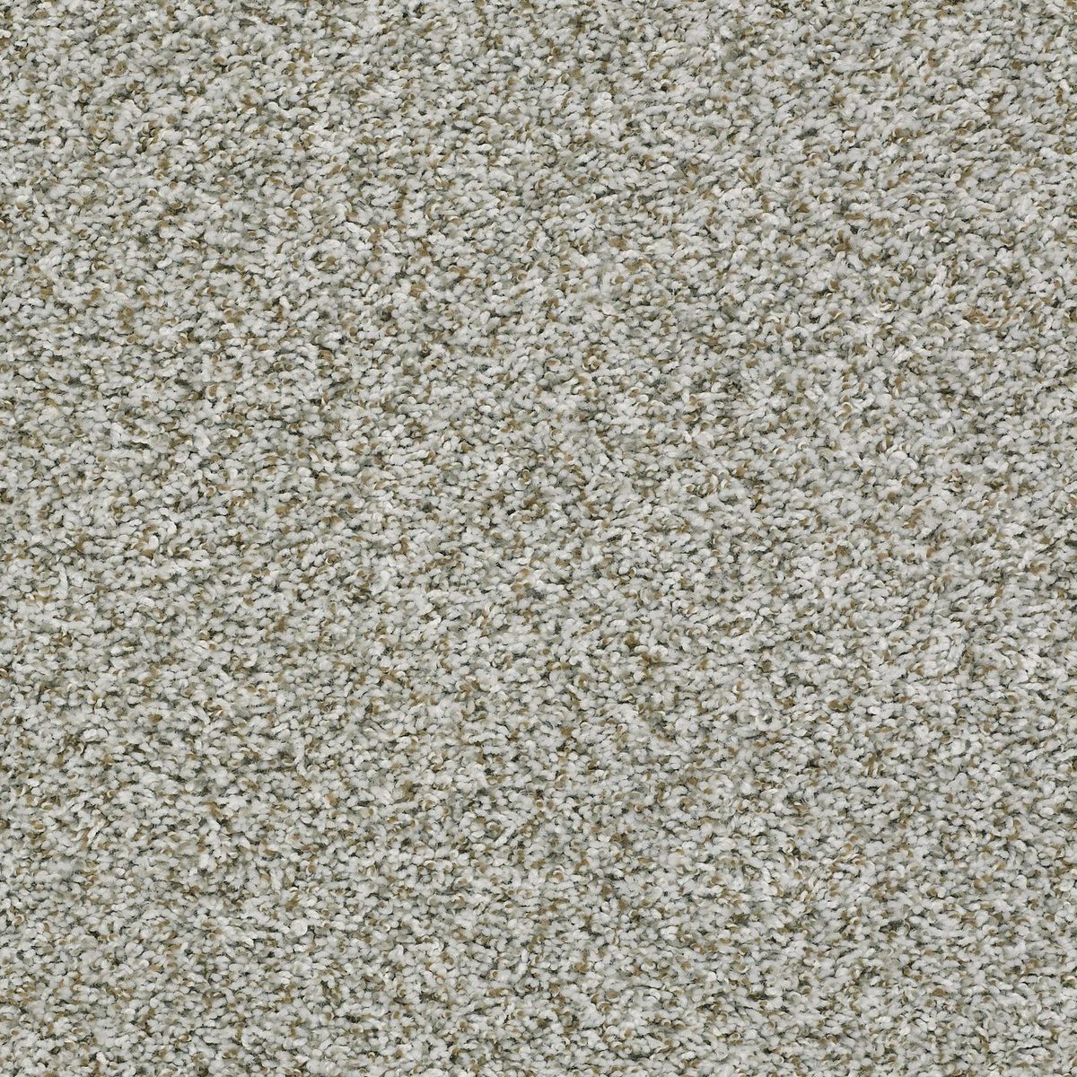 Shaw Floors Break Away (T) Chrome flooring