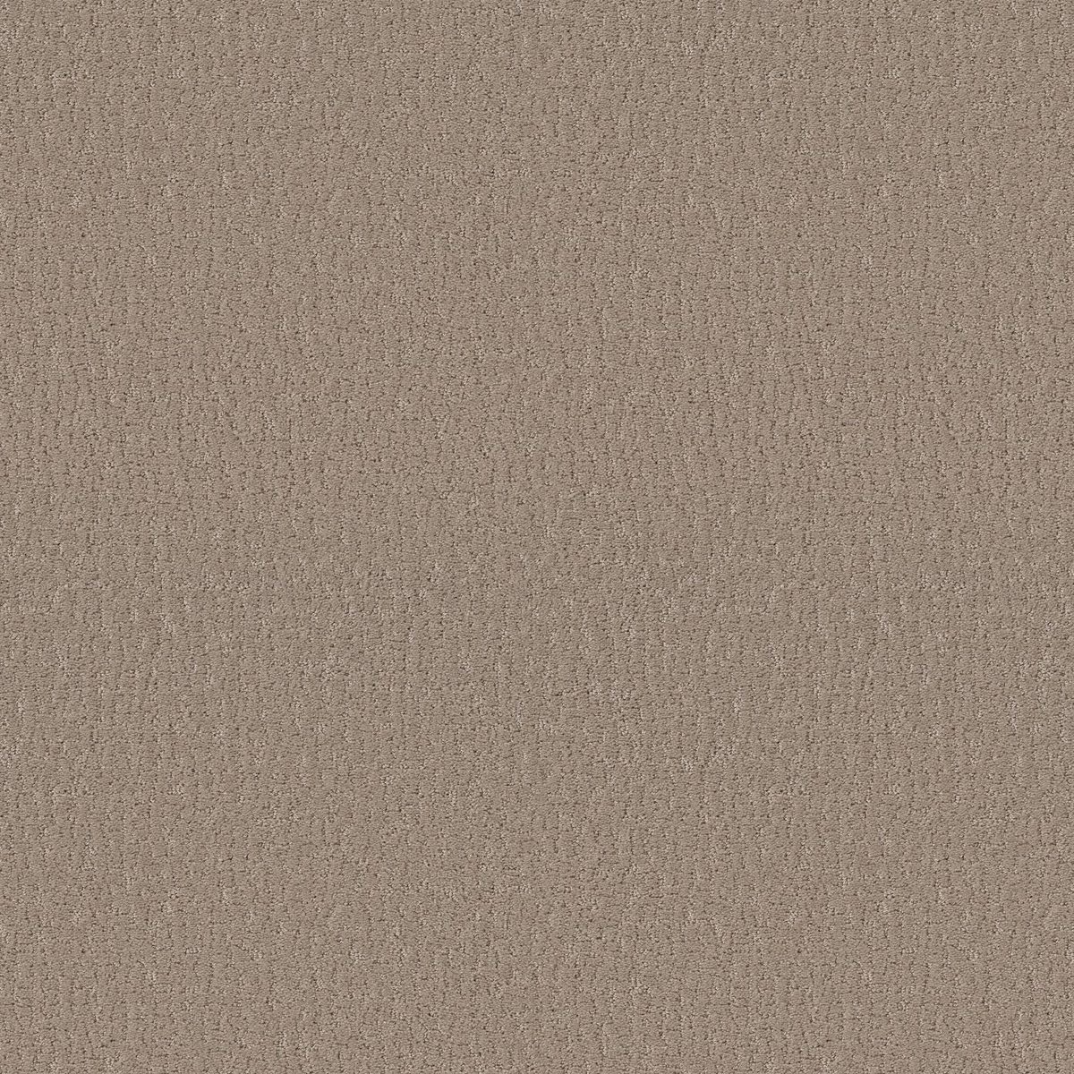 Shaw Floors Studio Set Kindling flooring