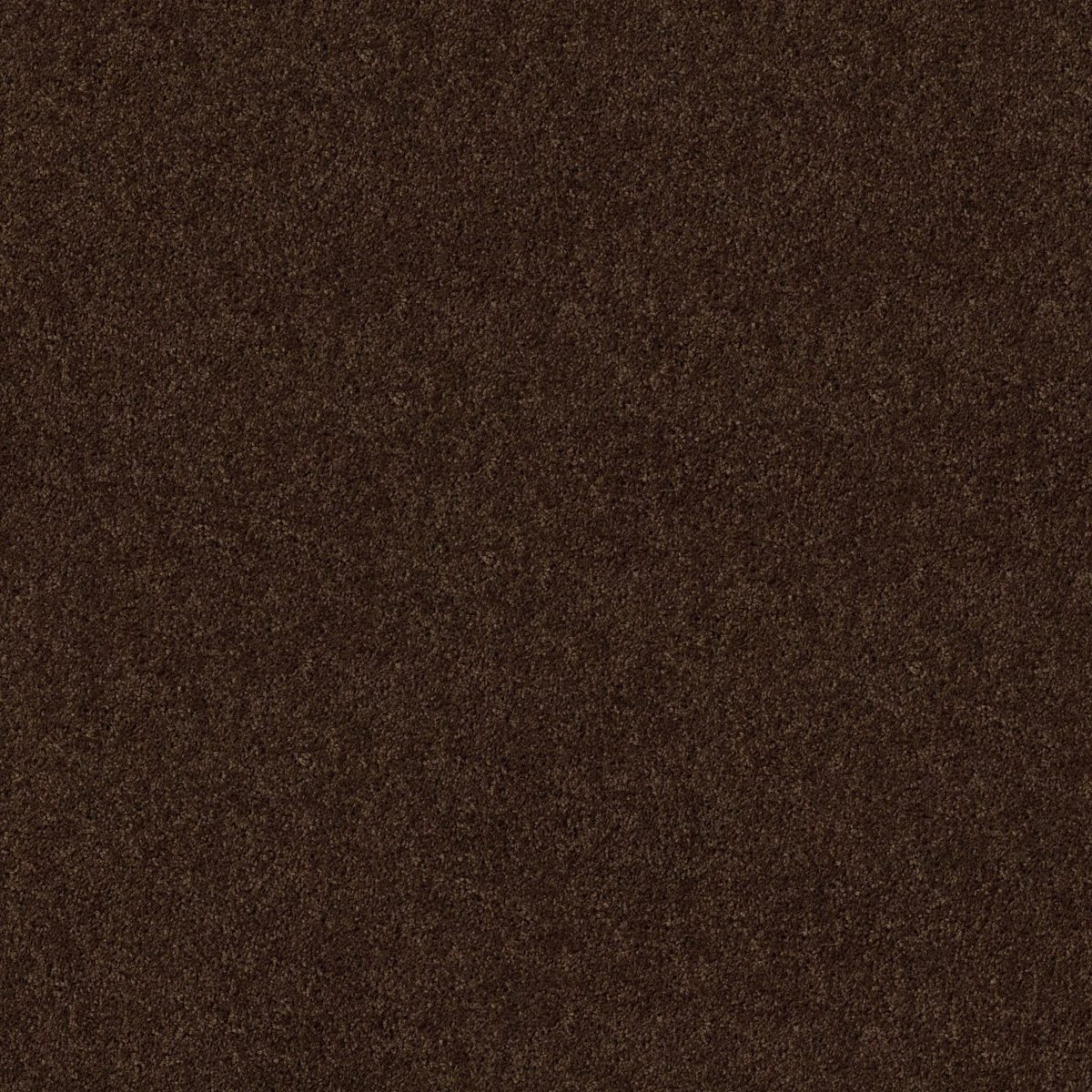Shaw Floors Break Away (S) Coffee Bean flooring