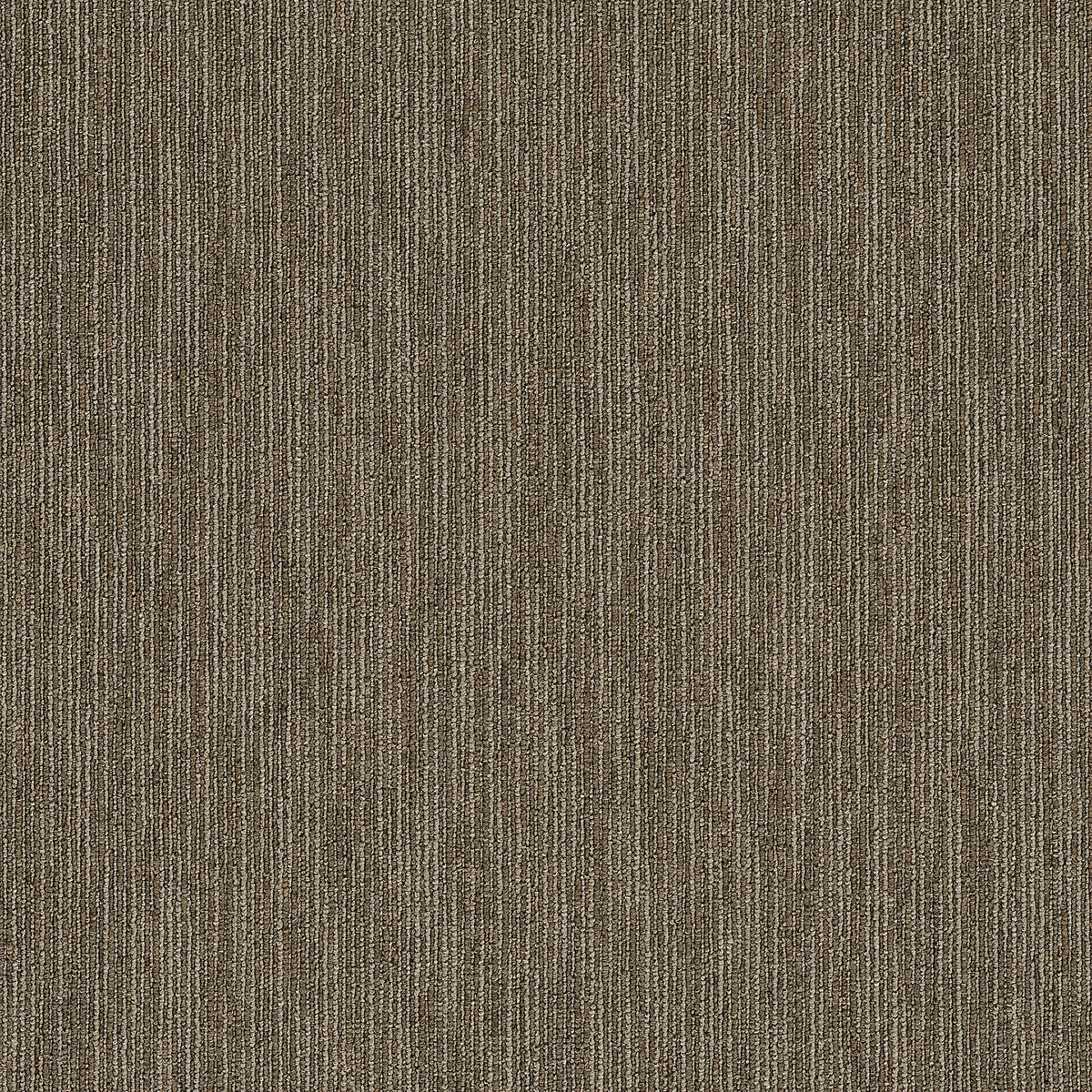 Philadelphia Commercial Dynamo TL Scholarly flooring