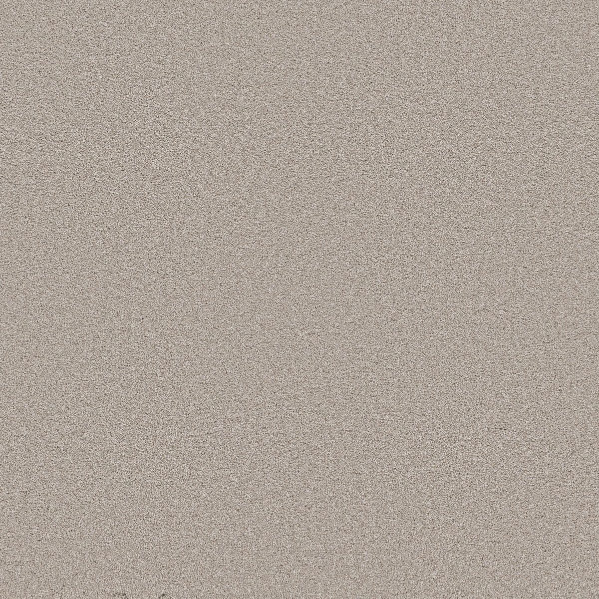 Shaw Floors Wonderland III 12' Silence flooring