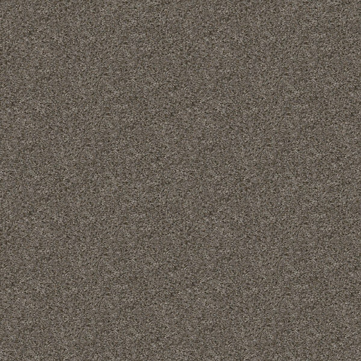 Shaw Floors Break Away (T) Washed Suede flooring