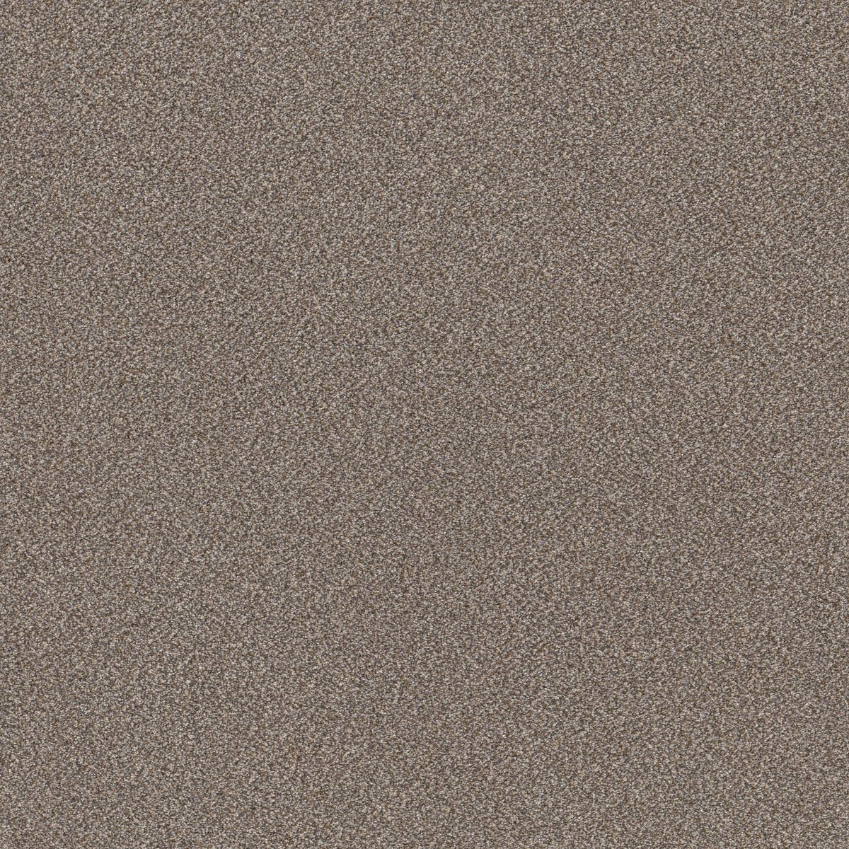 Shaw Floors TruSplendor Cobble Drive flooring
