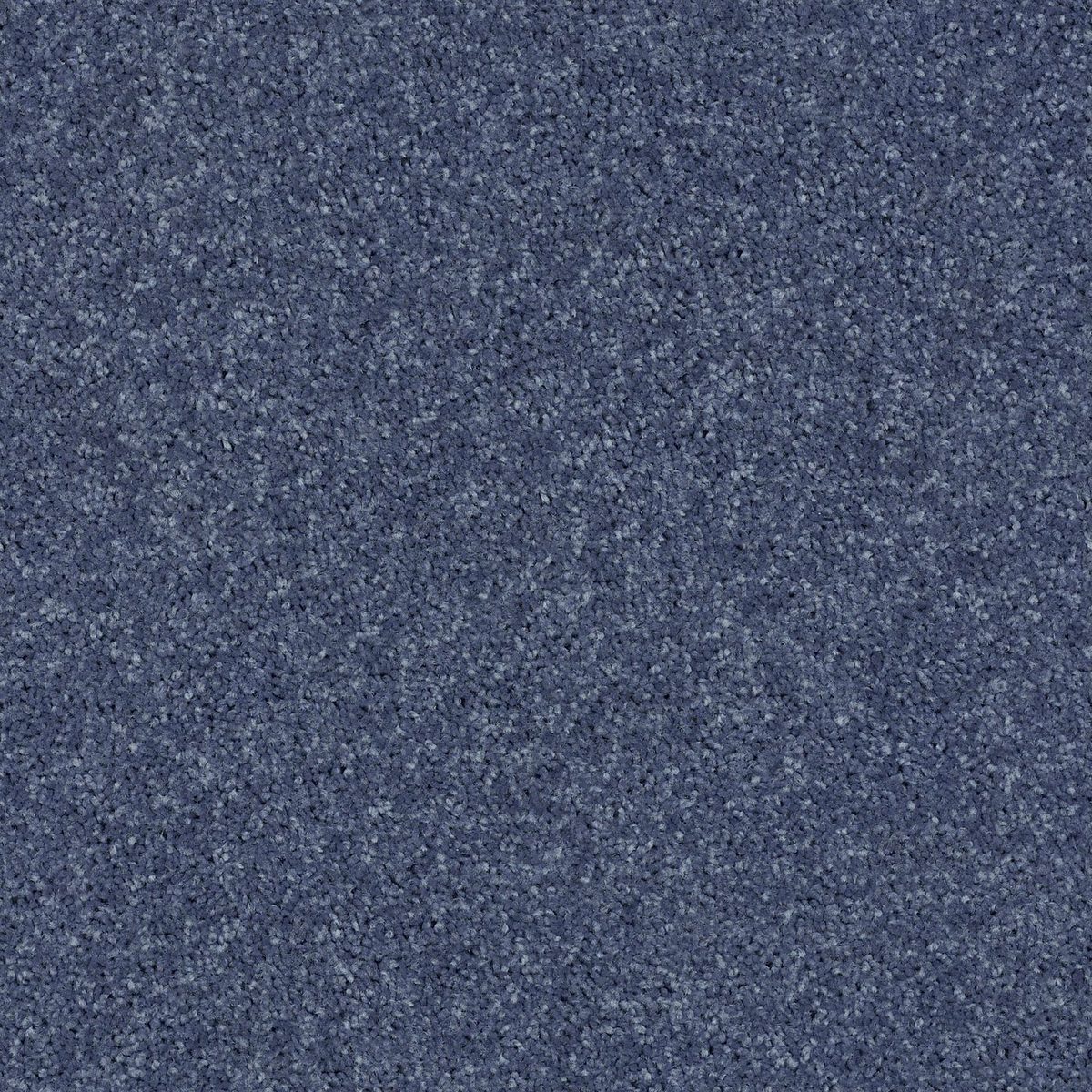 Shaw Floors All Star Weekend II Steel flooring