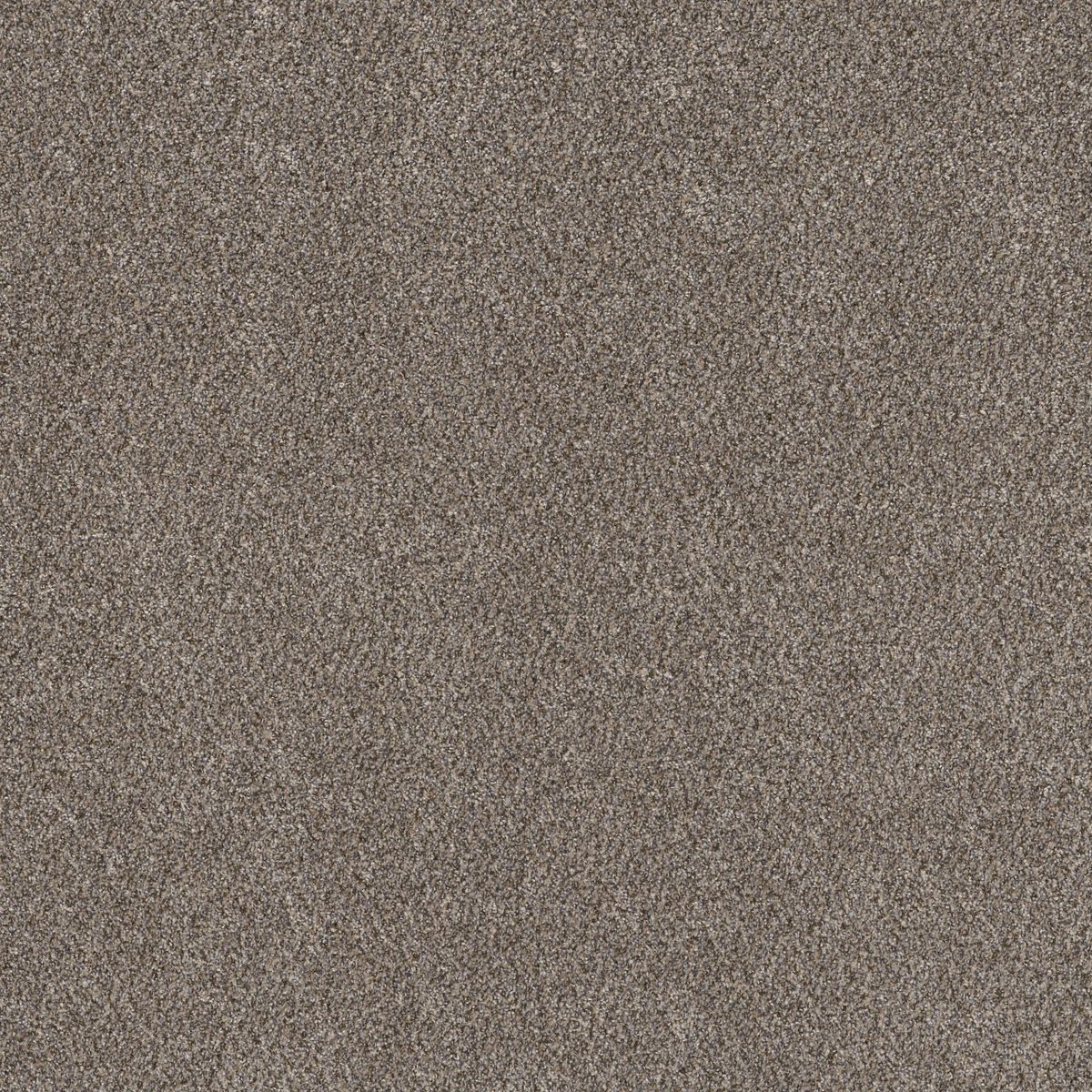 Shaw Floors Right Choice Champagne Toast flooring