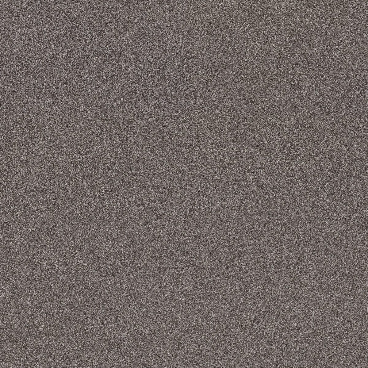 Shaw Floors TruSplendor Quarry flooring