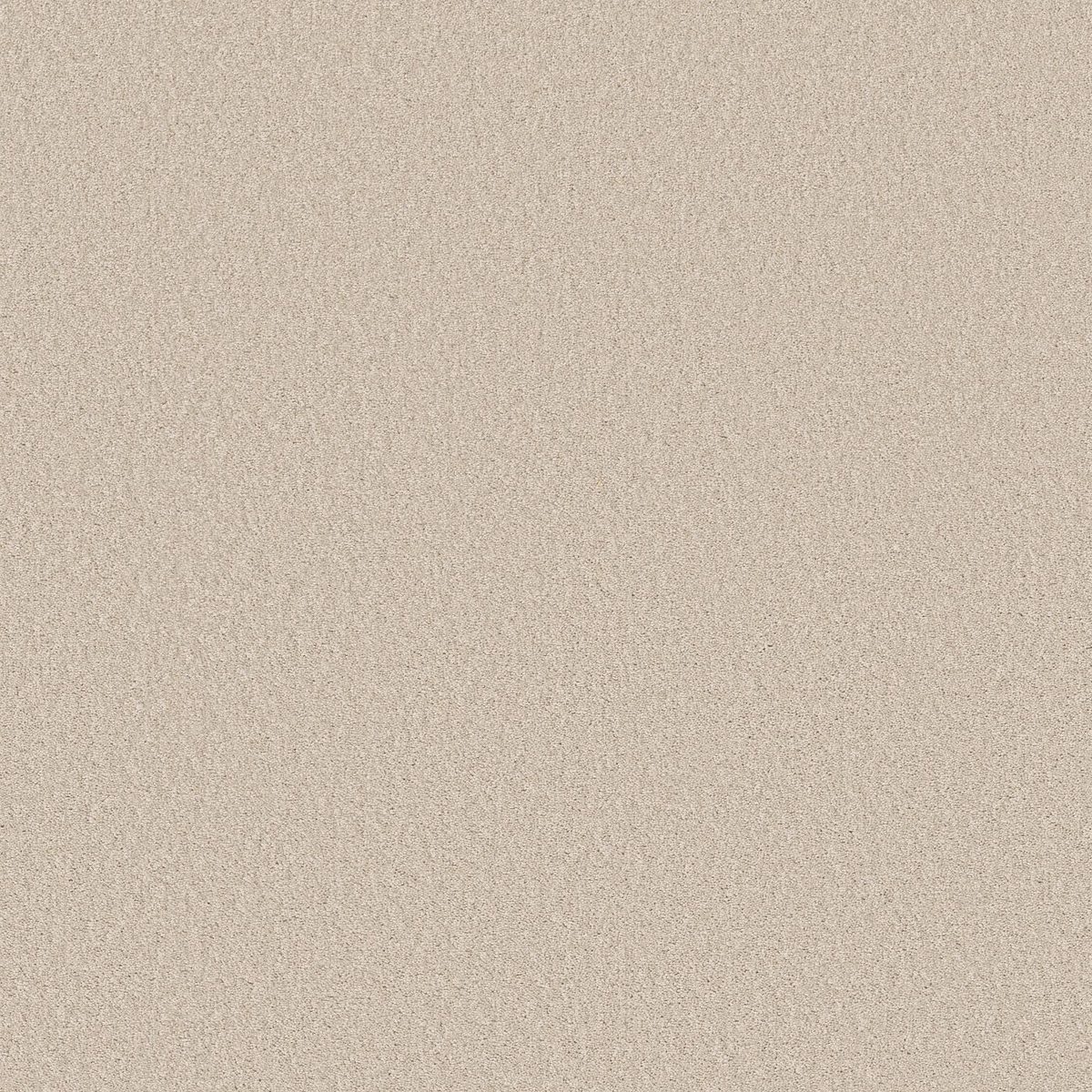 Shaw Floors Las Cruces Zurich flooring