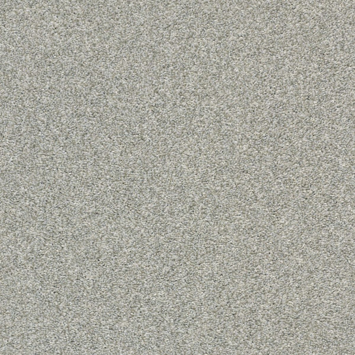 Shaw Floors Cabana Life (T) Fog flooring