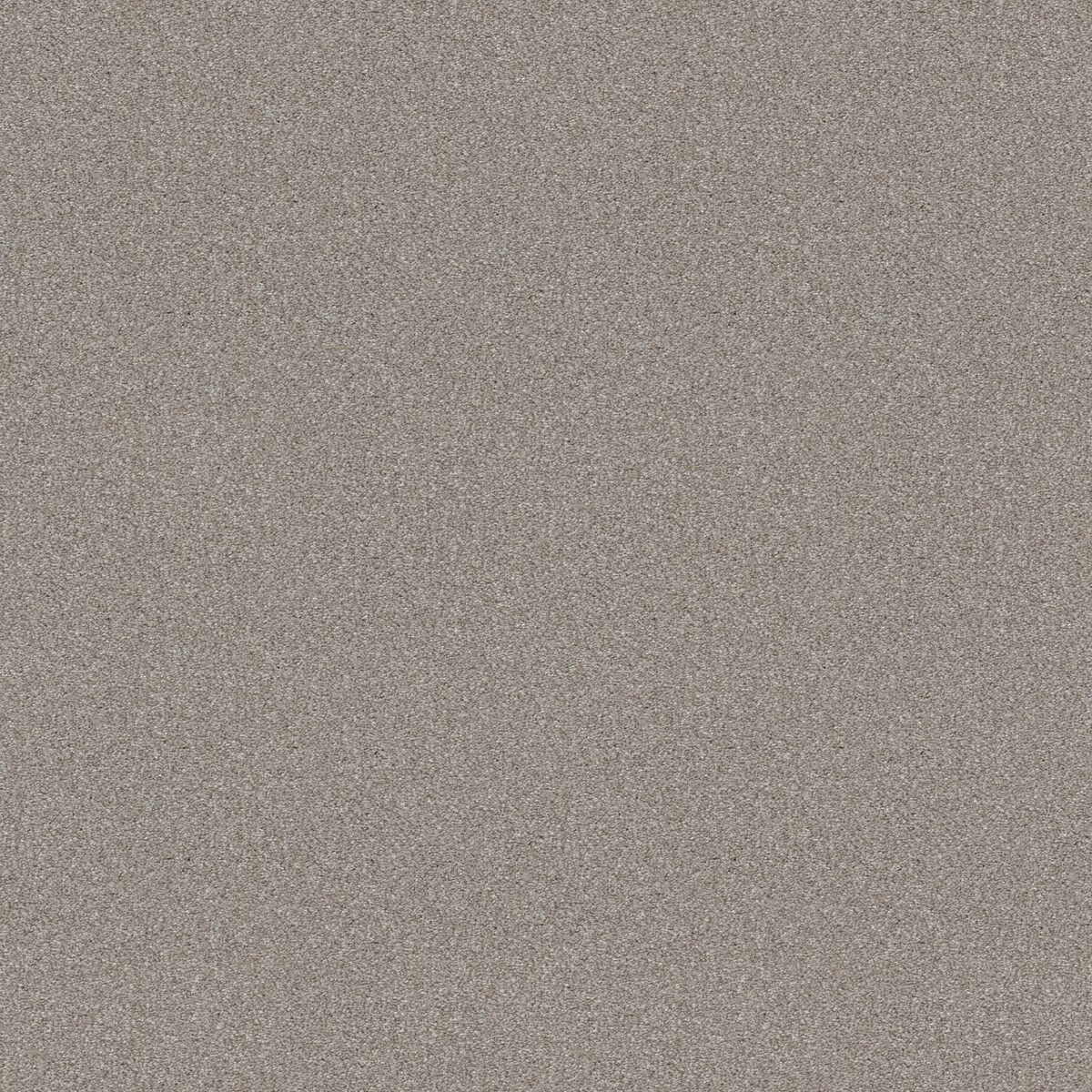 Shaw Floors Attainable (Tonal) Soft Fleece flooring