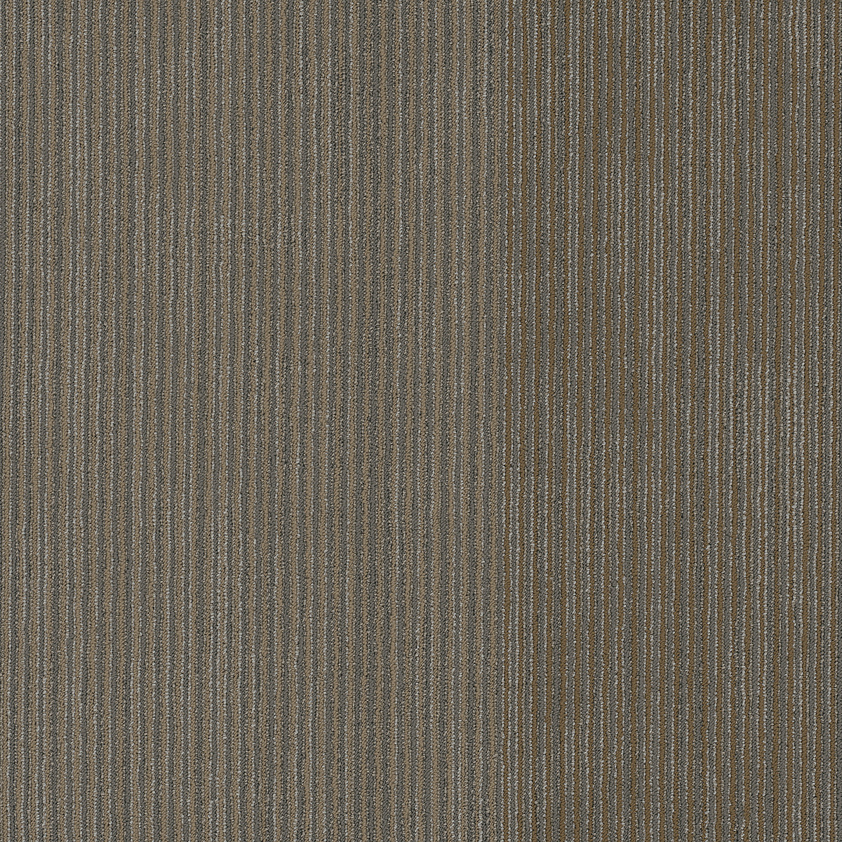 Philadelphia Commercial Disclose Front-Page flooring