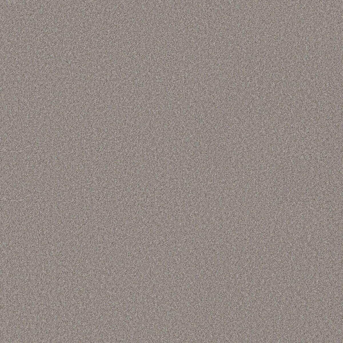 Shaw Floors Wonderland II Greige flooring