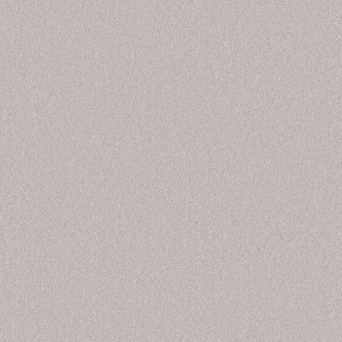 Shaw Floors Your Comfort I Whitewashed Frame flooring