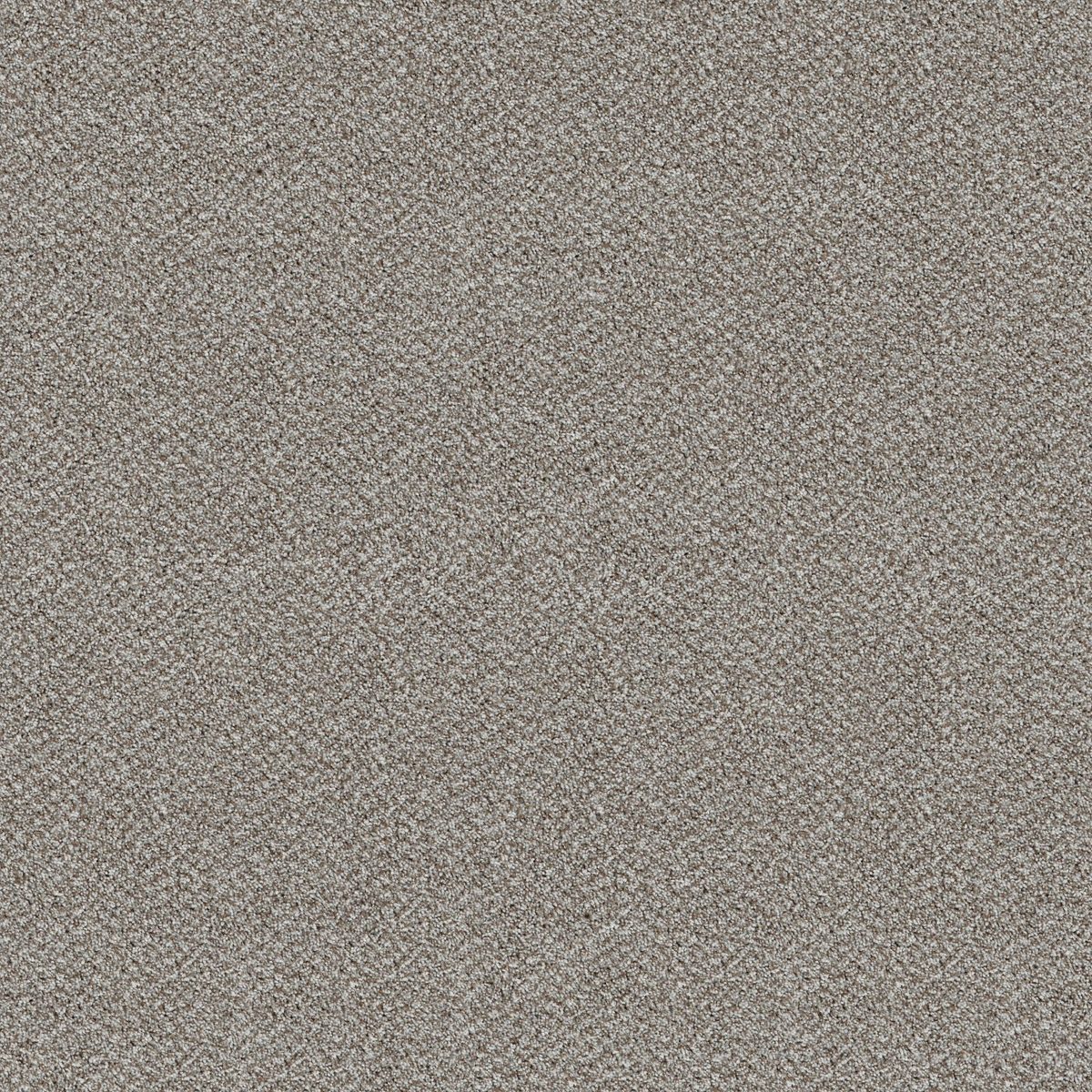Shaw Floors Break Free Whisper flooring