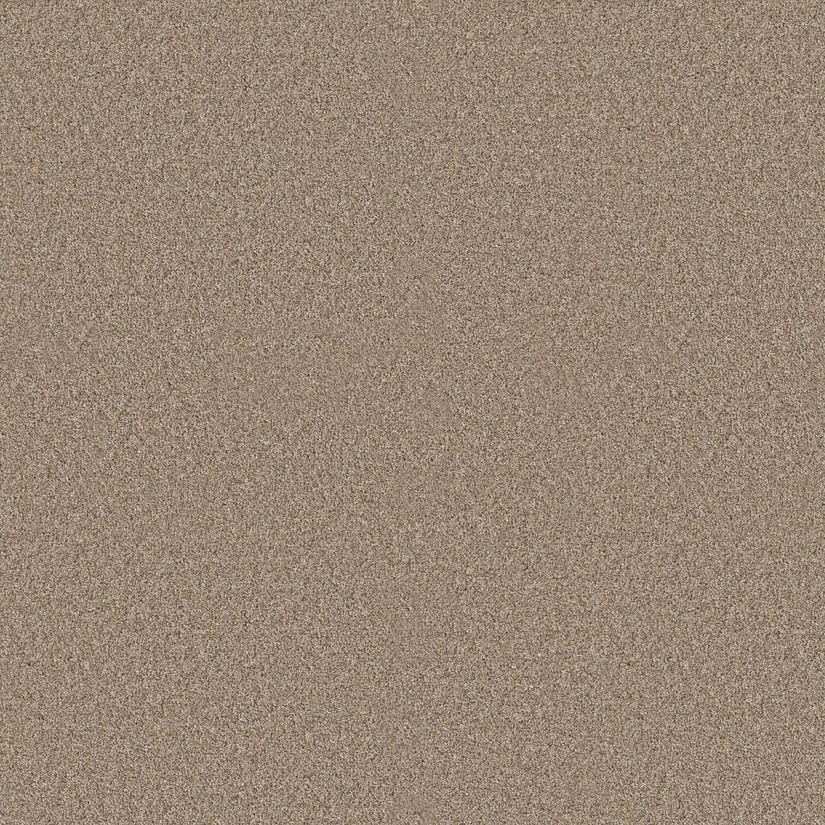 Shaw Floors Elevated II Summer Straw flooring
