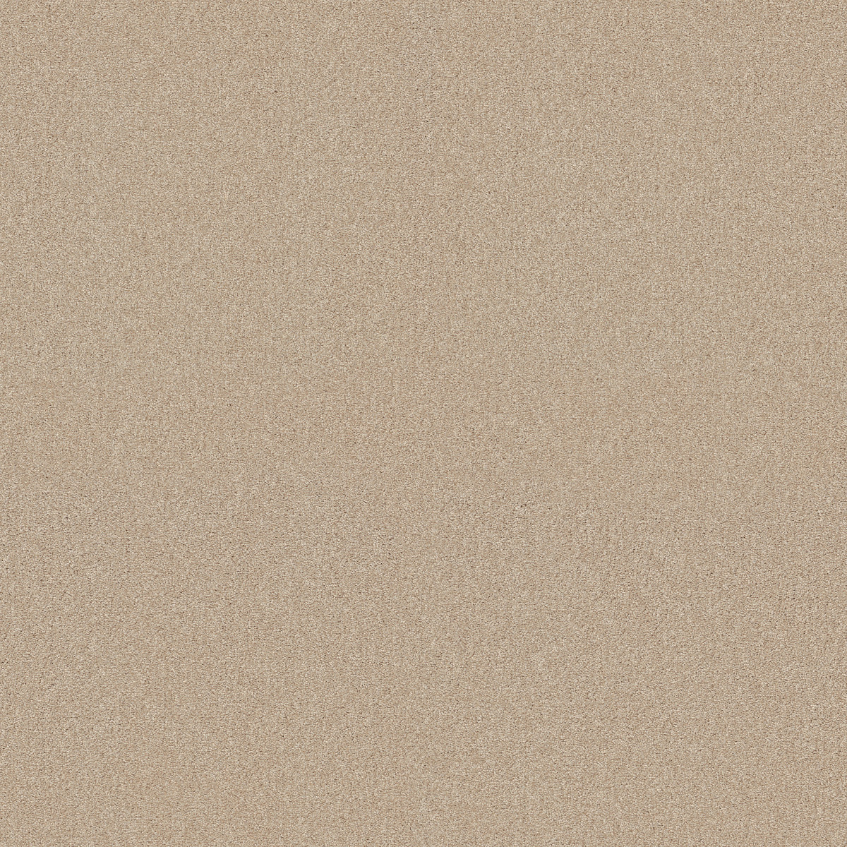 Shaw Floors Your Comfort I Sun Kissed flooring