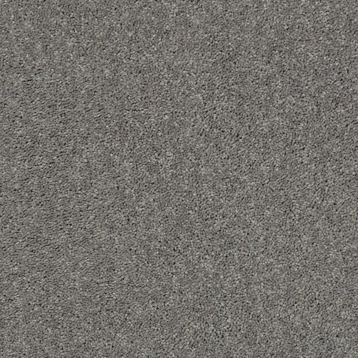 Shaw Floors All Star Weekend II Ink Spot flooring