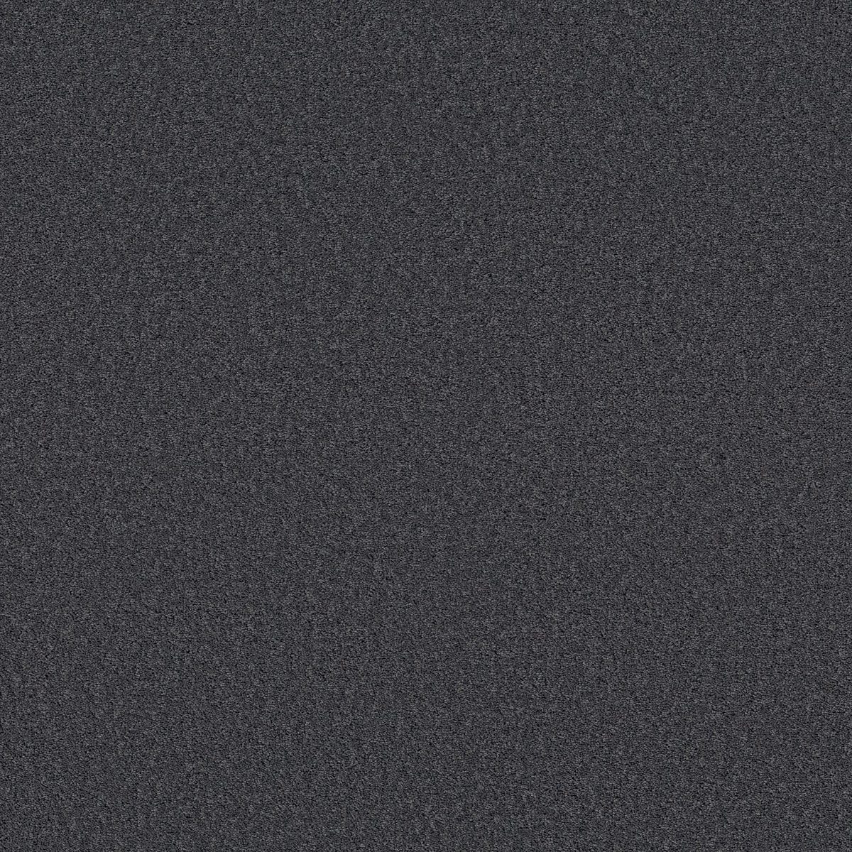 Shaw Floors Las Cruces Charter flooring
