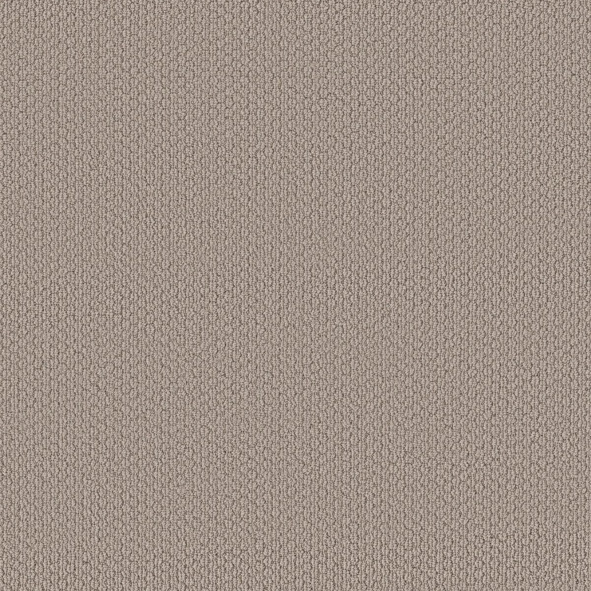 Shaw Floors Cathedral Hill II Cement flooring