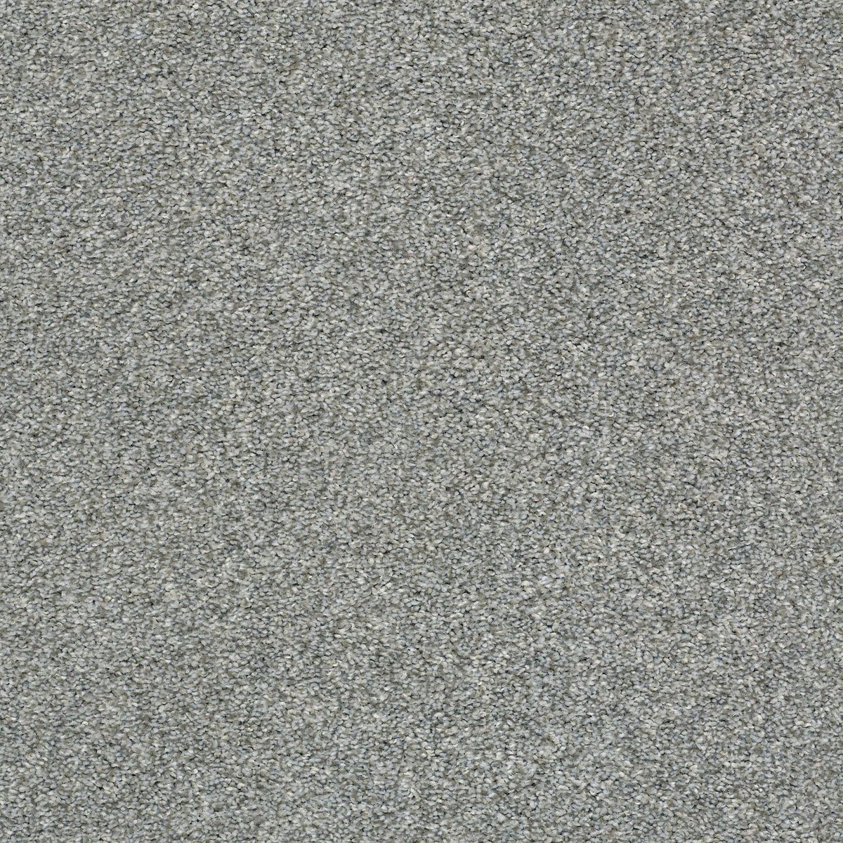 Shaw Floors Cabana Life (T) Stainless flooring