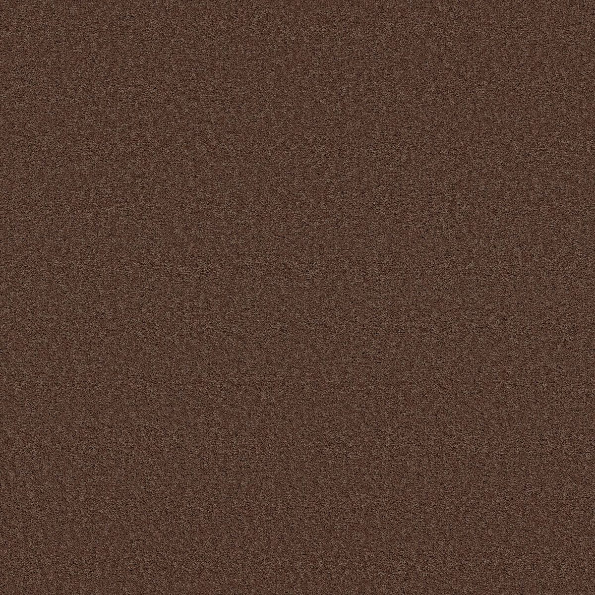 Shaw Floors Las Cruces Wood Grain flooring
