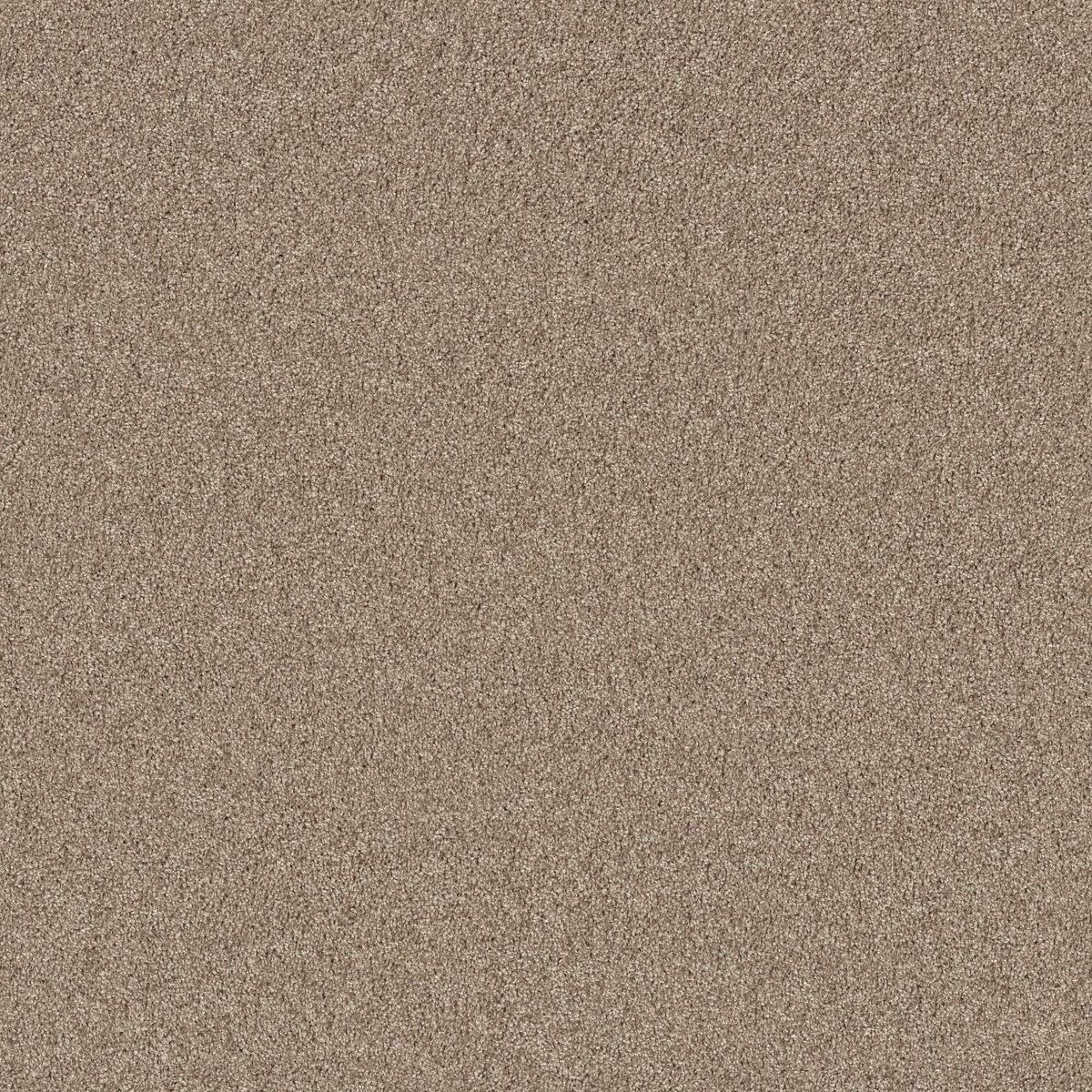 Shaw Floors Agility Biscotti flooring
