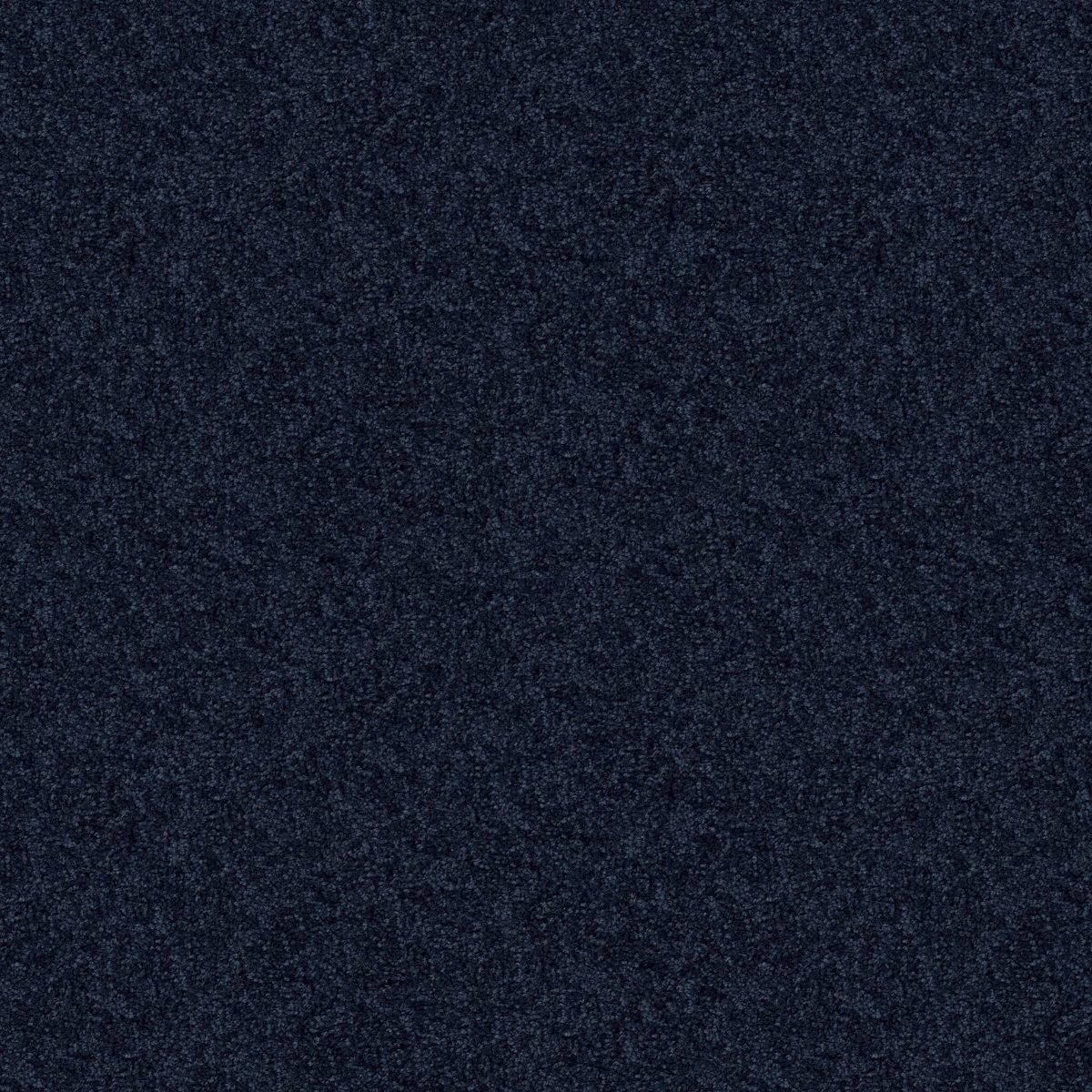 Shaw Floors All Star Weekend II Evening Sky flooring