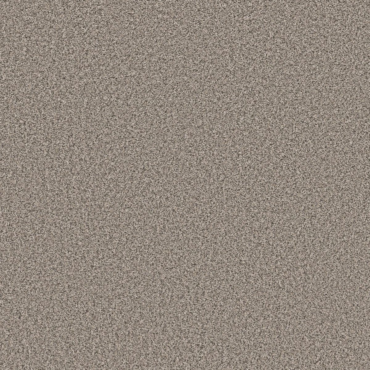 Shaw Floors Soft Radiance Overcast flooring